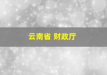 云南省 财政厅